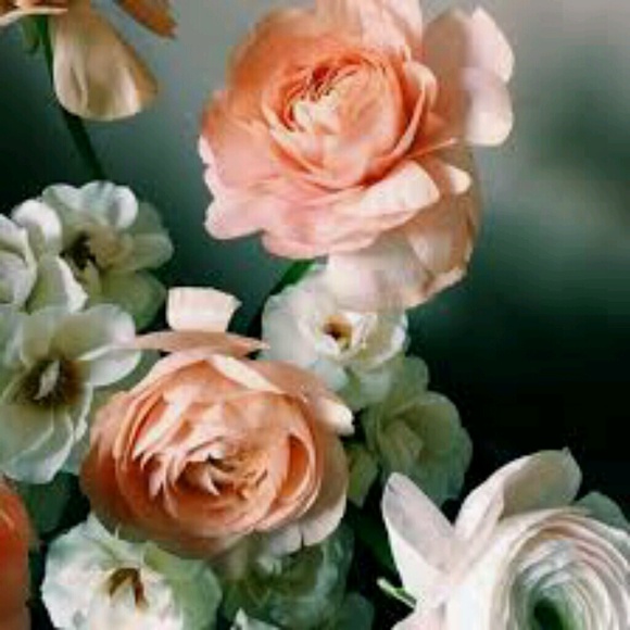 Meet your Posher, Jess - Picture 1 of 1